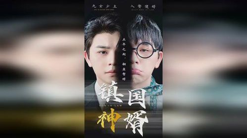 镇国神婿:赘婿逆袭的传奇人生