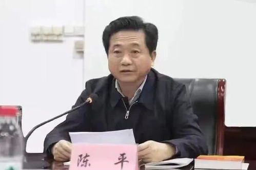 龙王令：陈平的传奇人生
