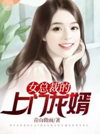 上门龙婿：都市传奇的在线阅读之旅