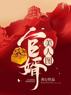 宦海红颜:官婿美人图的权谋与情殇