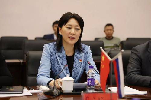 官场风云:安江高玉兰的权色迷局