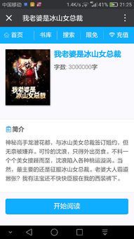 冰山总裁的隐秘爱恋:搜书网奇缘
