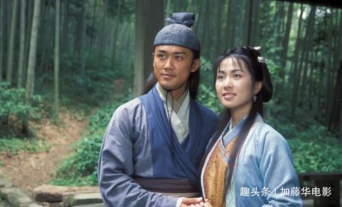官场风云:林峰的权谋之路