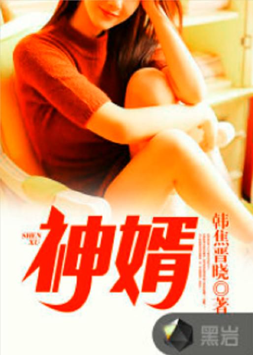 镇国神婿:巅峰赘婿的逆袭之路