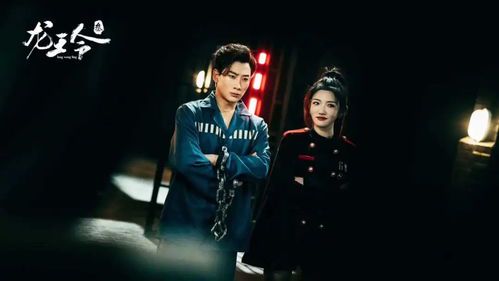 《龙王令:陈平殿主的传奇之旅》