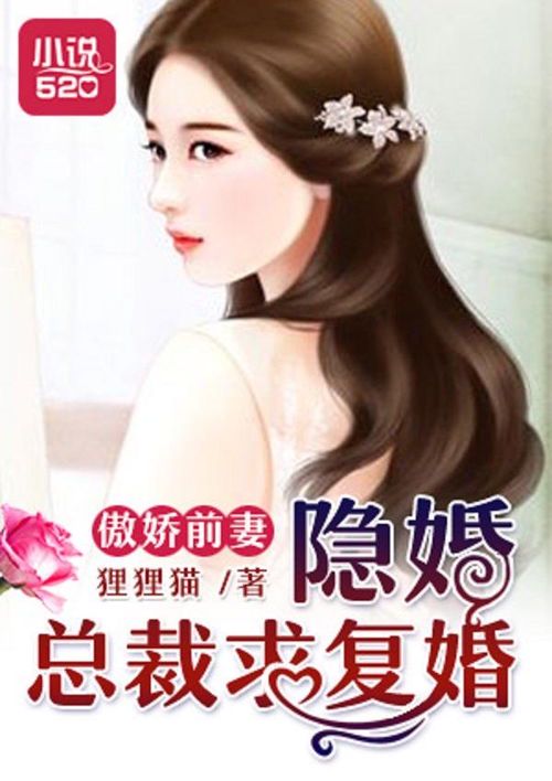 离婚后,冷艳总裁跪求复复婚