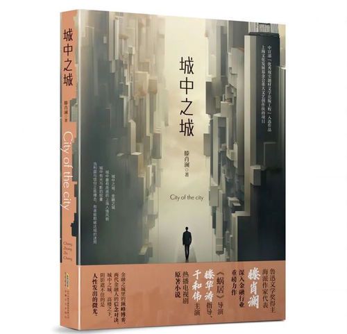 金融迷局：城中之城