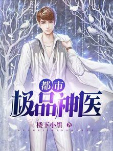 都市极品医神叶辰:免费阅读完整版