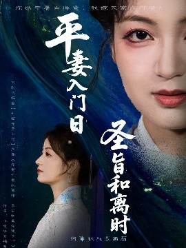 平妻入门日圣旨和离时短剧全62集