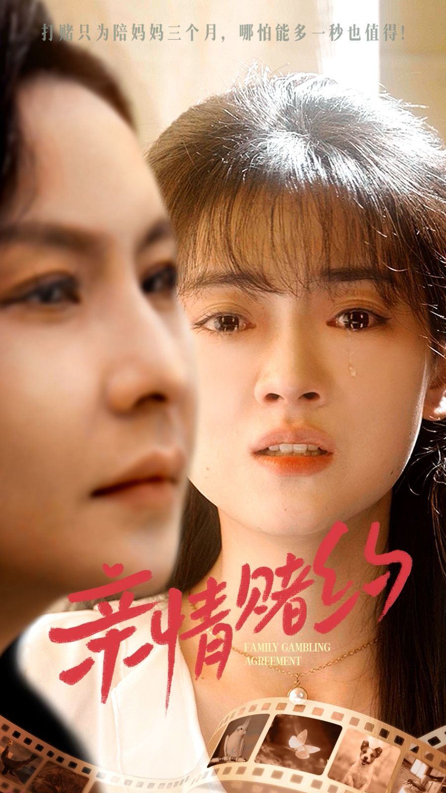 亲情赌约短剧全51集
