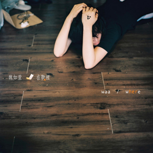 哪歌词-魏如萱