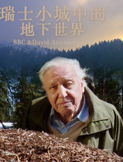瑞士小城中的地下世界电影正片