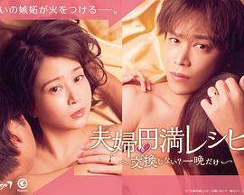 夫妻圆满秘籍 要不要交换？一晚就好电视剧全12集