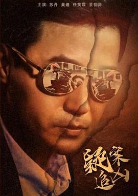 疑案追凶电影HD国语版