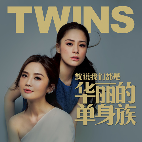 就说我们都是华丽的单身族歌词-Twins