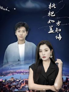 枇杷如盖方知悔短剧全28集