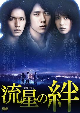 流星之绊电视剧全10集
