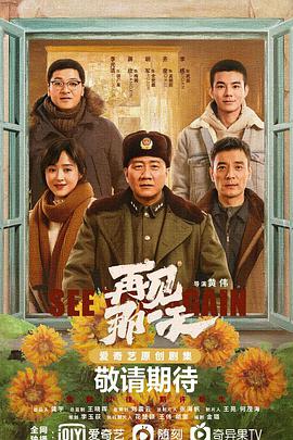 再见那一天电视剧全6集