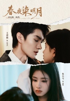 春夜染明月短剧全48集