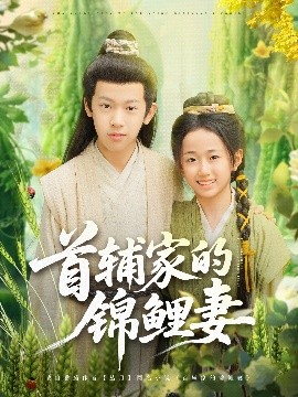 首辅家的锦鲤妻短剧全82集