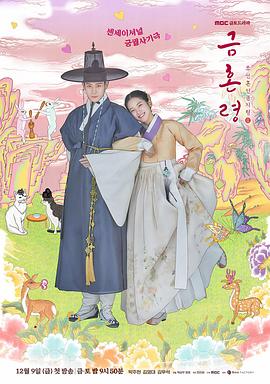 禁婚令电视剧全12集