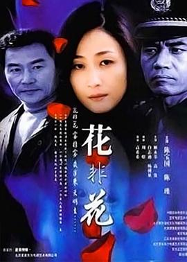 花非花电视剧全21集