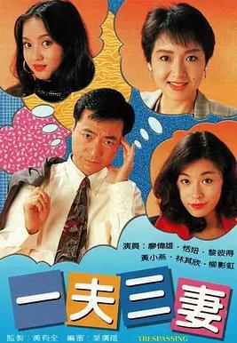 一夫三妻国语电视剧全20集