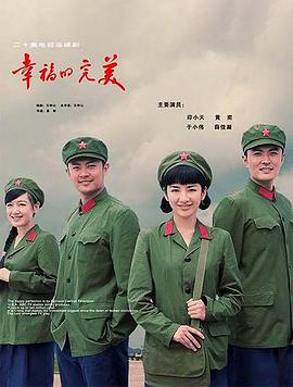 幸福的完美电视剧全27集