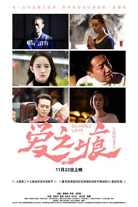 爱·之痕电影HD中字版