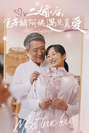 二婚后包子铺阿姨遇见真爱短剧全41集