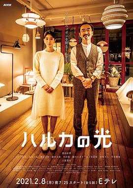 遥之光电视剧全5集
