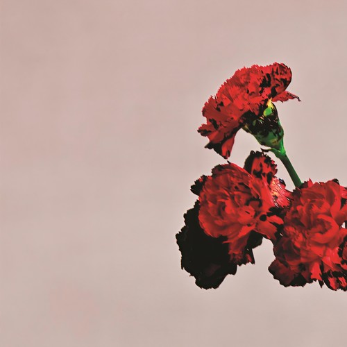 The Beginning... (Album Version)歌词-John Legend