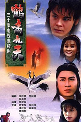 鹤啸九天电视剧全30集