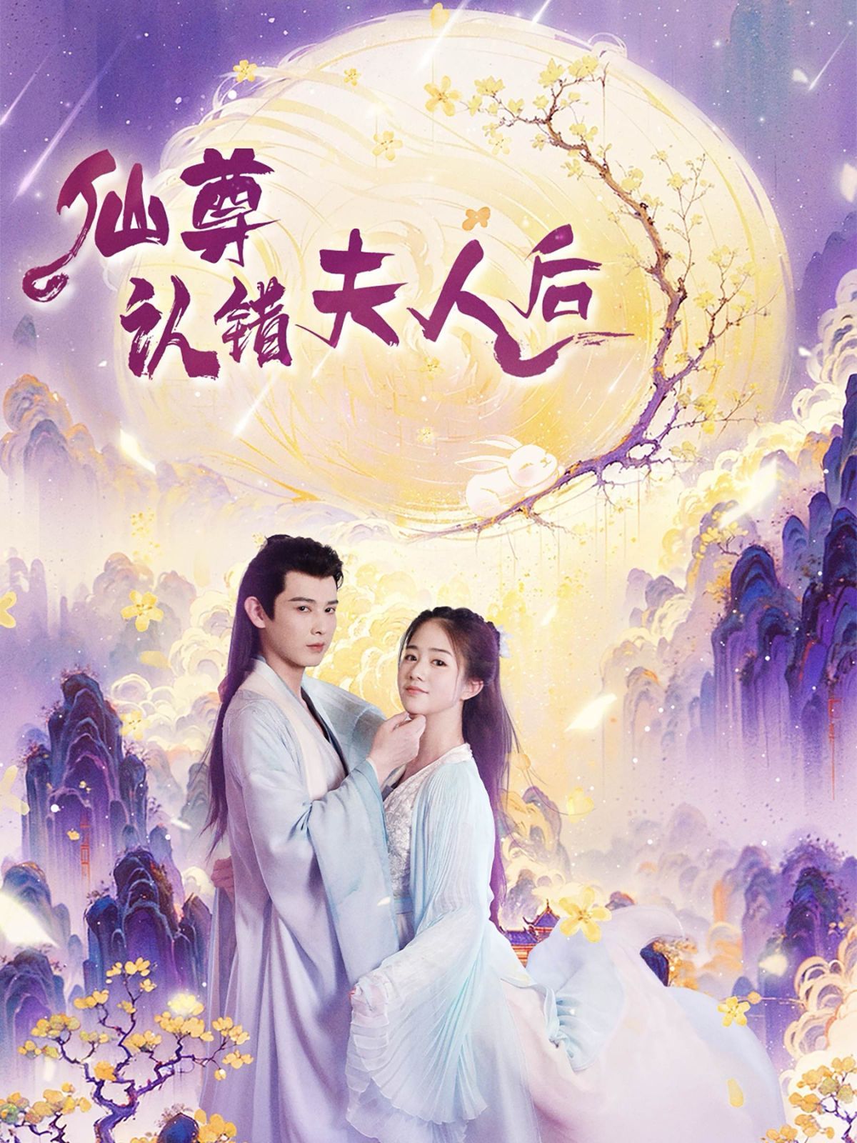 仙尊认错夫人后短剧全64集