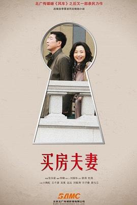买房夫妻电视剧全32集