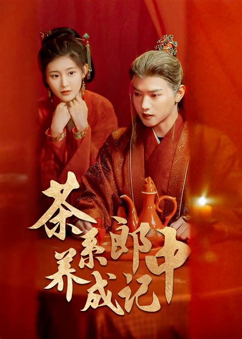 茶系郎中养成记短剧全47集
