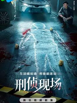 刑侦现场电视剧全18集