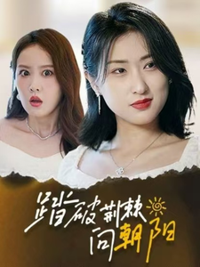 踏破荆棘向朝阳短剧全80集